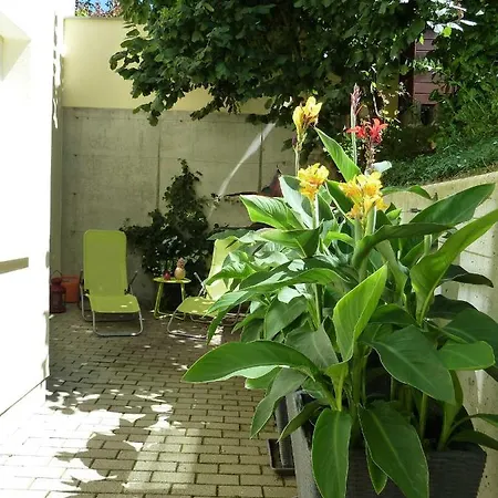 Baumann Apartment